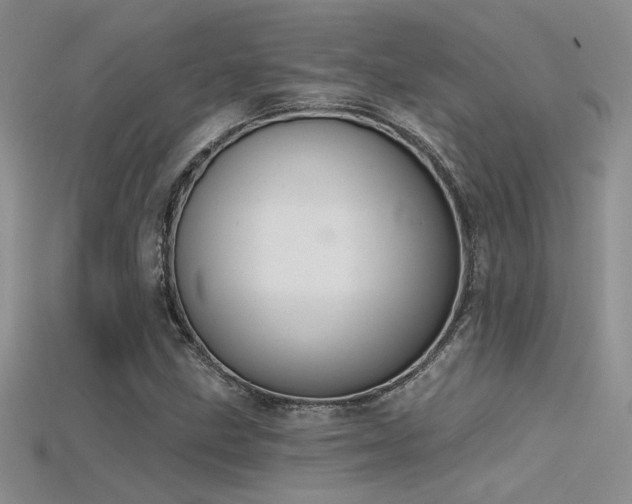 X0000115671211200911121145