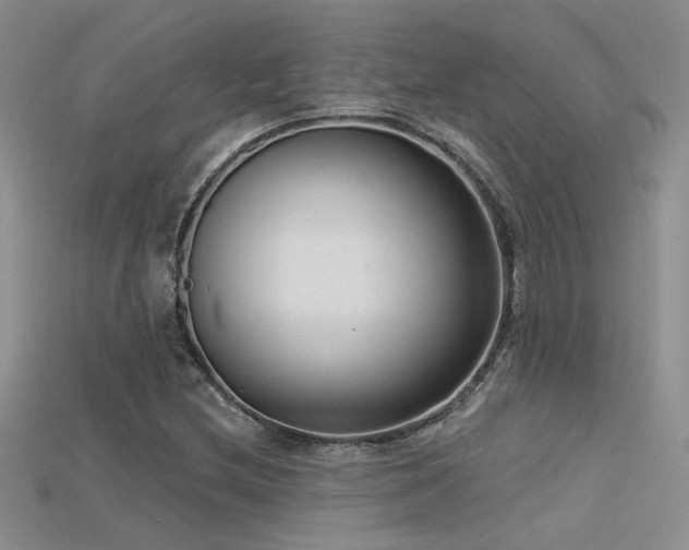 X0000115671212200911121145