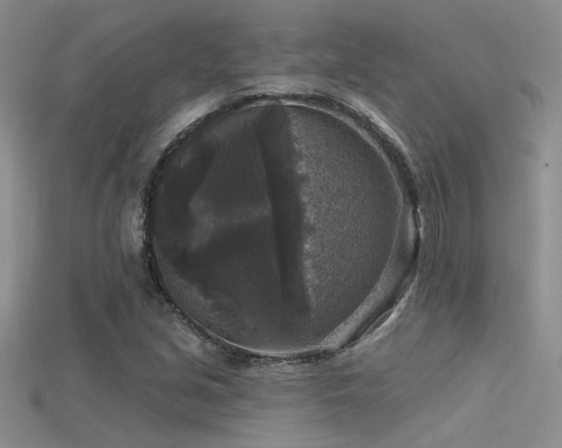 X0000115671213200911121146