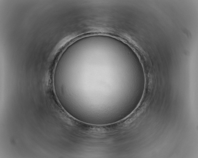 X0000115671215200911121146