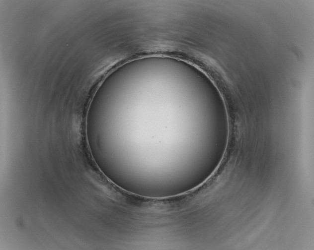 X0000115671217200911121146