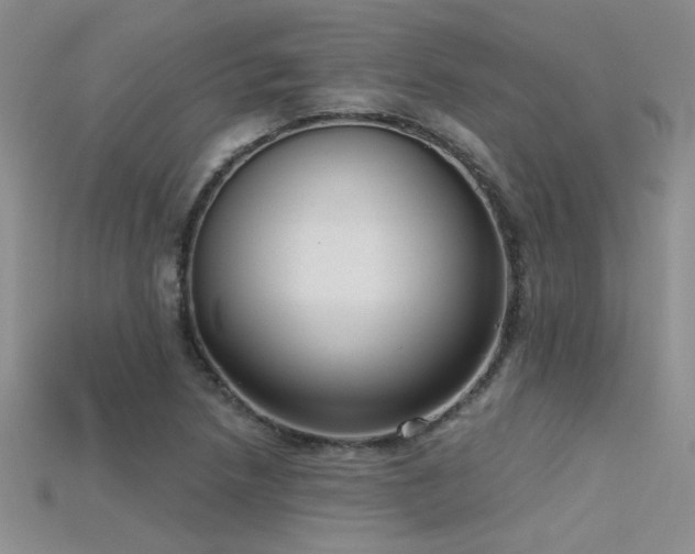X0000115671218200911121146