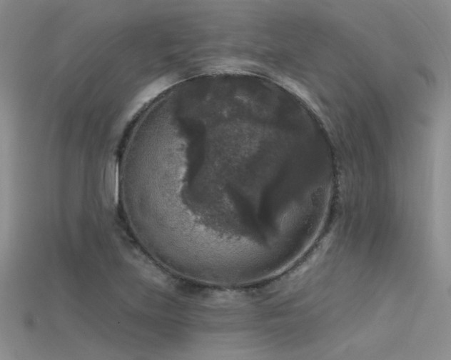 X0000115671219200911121146