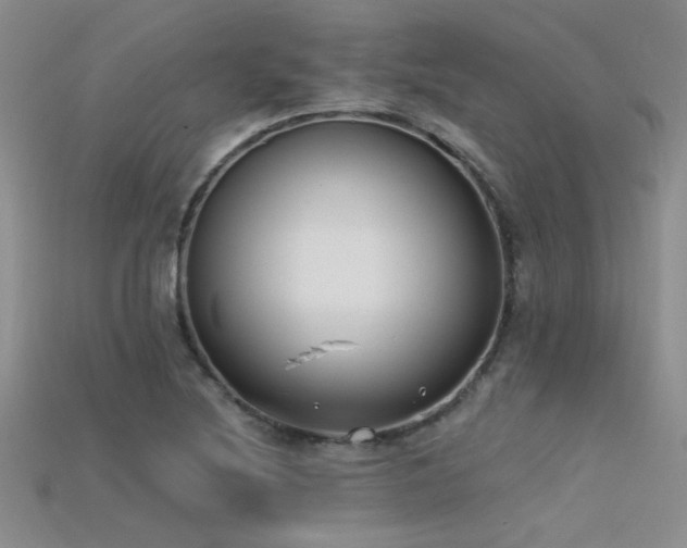 X0000115671220200911121146