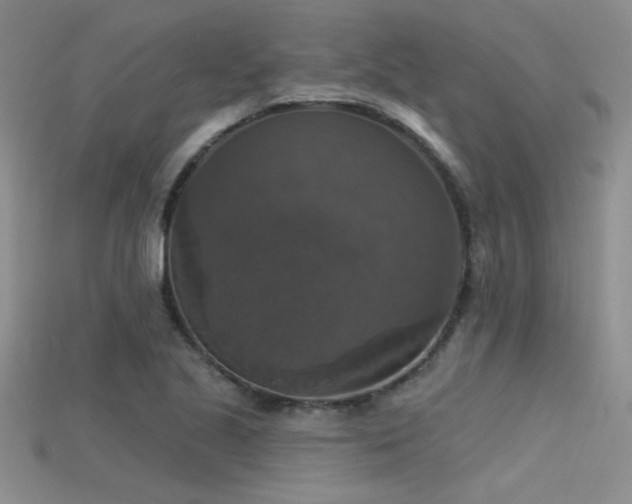 X0000115671221200911121146