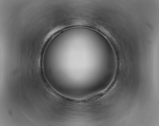 X0000115671222200911121146