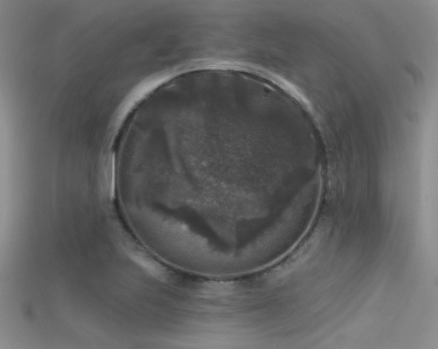 X0000115671223200911121146