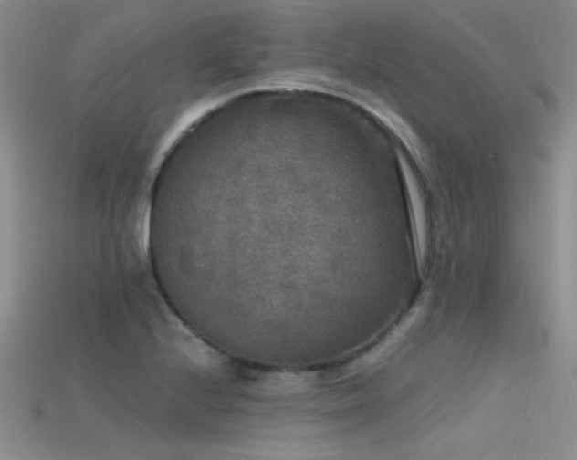 X0000115671224200911121146