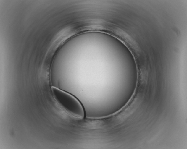 X0000115671225200911121146