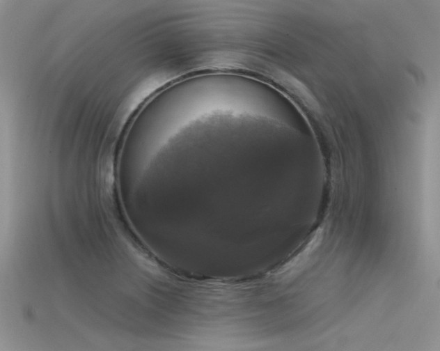 X0000115671226200911121146