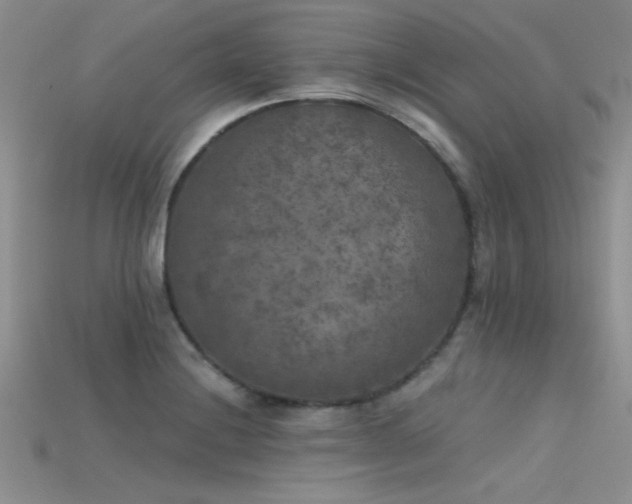X0000115671228200911121146