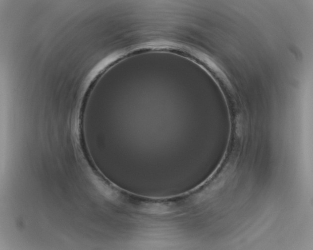 X0000115671229200911121146