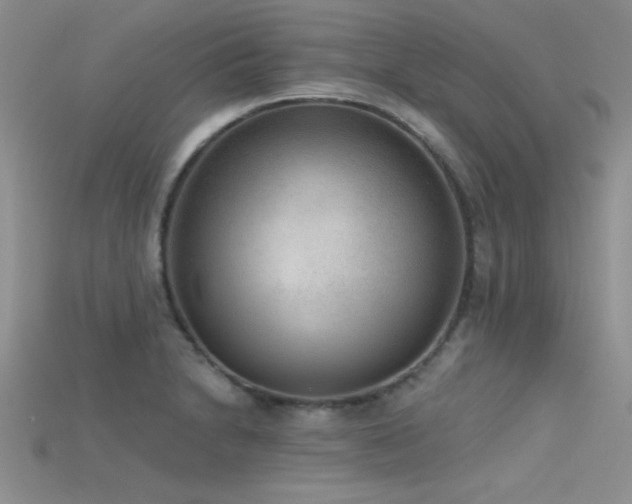 X0000115671230200911121146