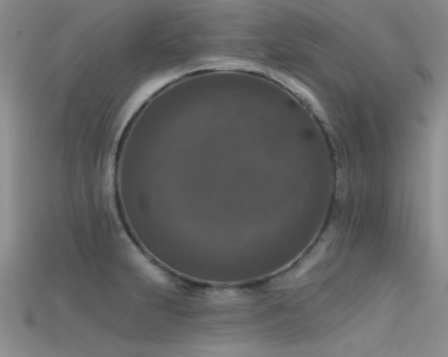 X0000115671231200911121146