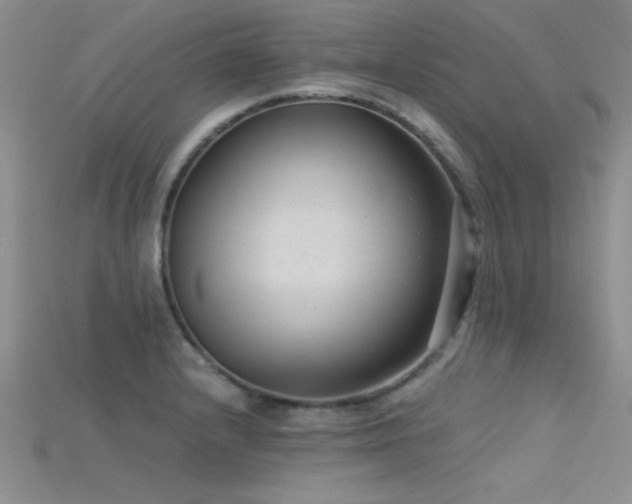 X0000115671232200911121146
