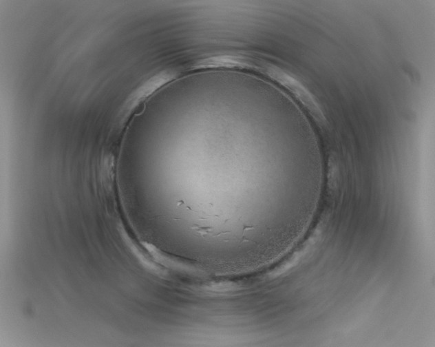 X0000115671233200911121146