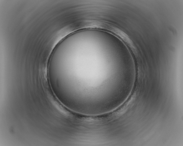 X0000115671234200911121146