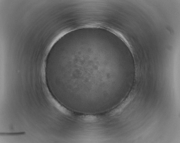 X0000115671235200911121146
