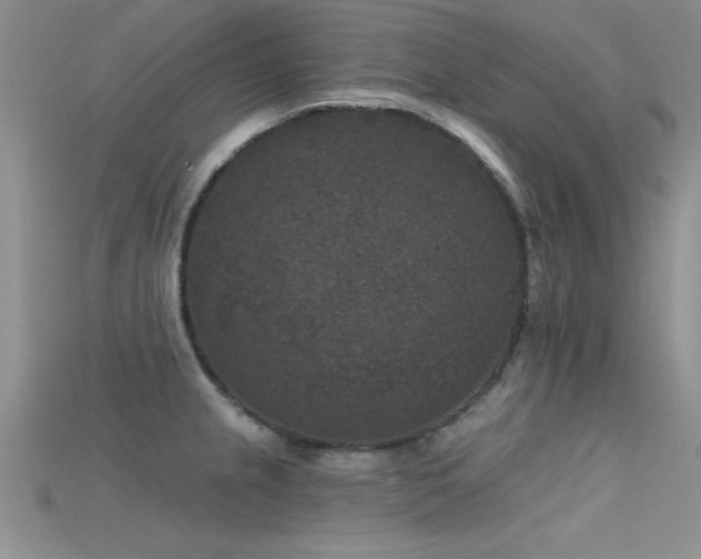 X0000115671237200911121146