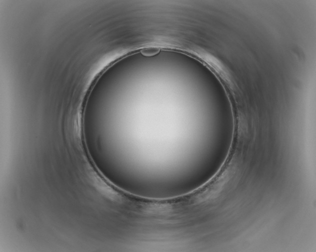 X0000115671238200911121146