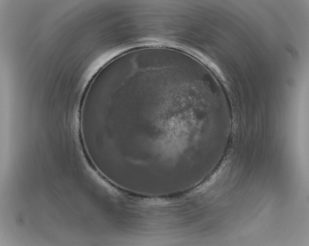 X0000115671239200911121146