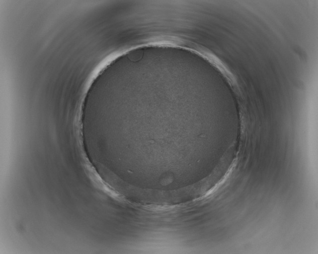 X0000115671240200911121146