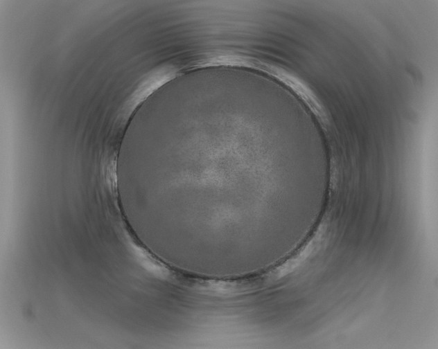 X0000115671241200911121146