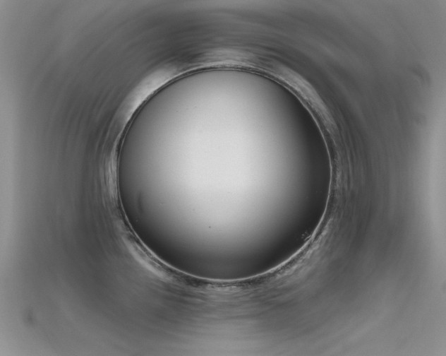 X0000115671242200911121146