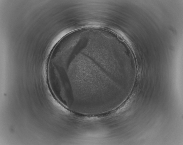 X0000115671243200911121146