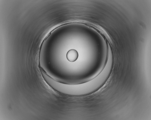 X0000115671244200911121146