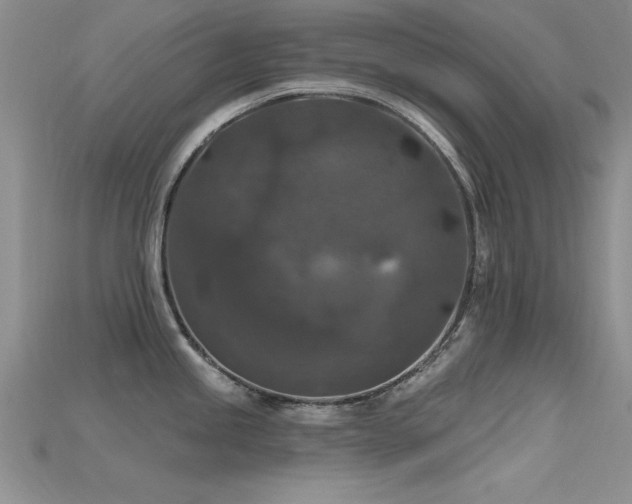 X0000115671245200911121146