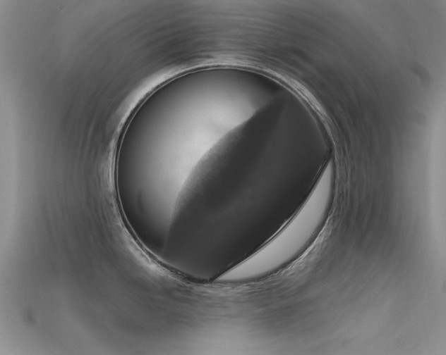 X0000115671246200911121146