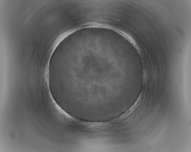 X0000115671247200911121146
