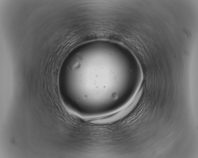 X0000115671249200911121145