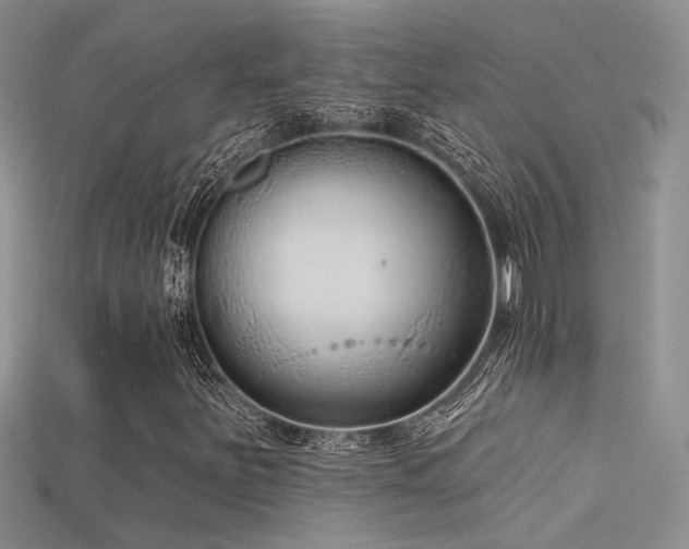X0000115671251200911121145