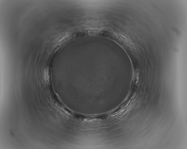 X0000115671252200911121145