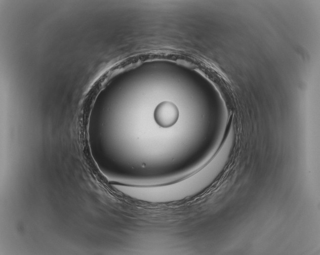 X0000115671256200911121145