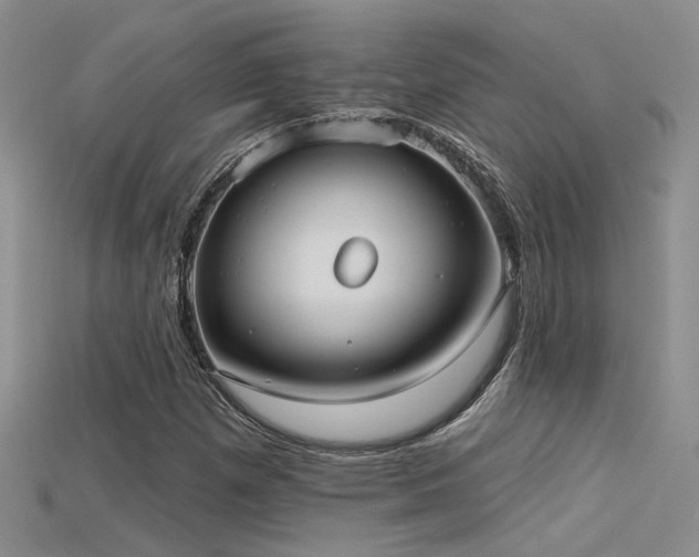 X0000115671257200911121145