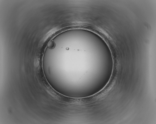 X0000115671259200911121145