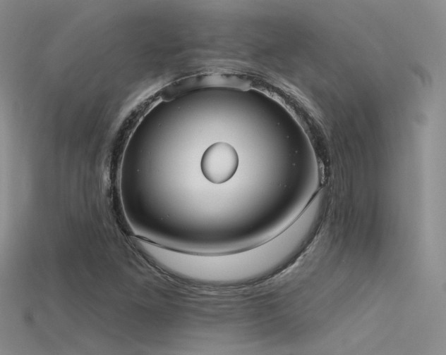 X0000115671261200911121145
