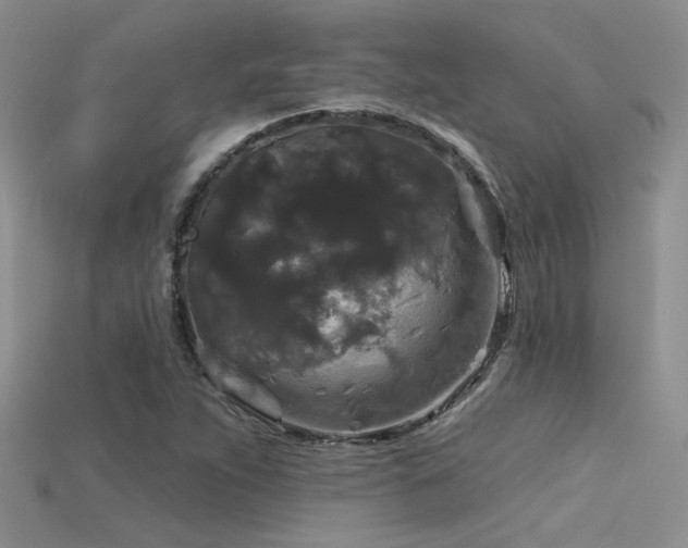 X0000115671263200911121145