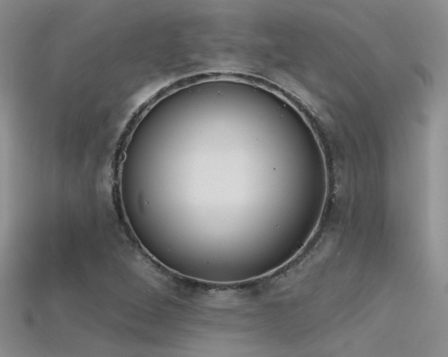 X0000115671264200911121145