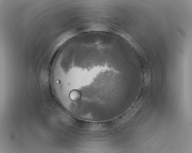 X0000115671266200911121145