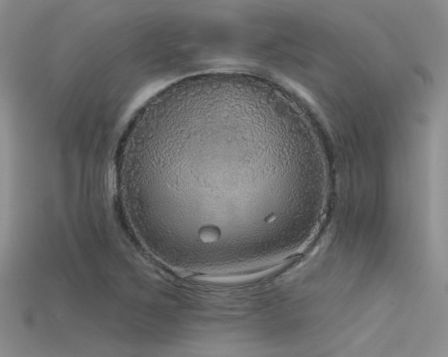 X0000115671267200911121145