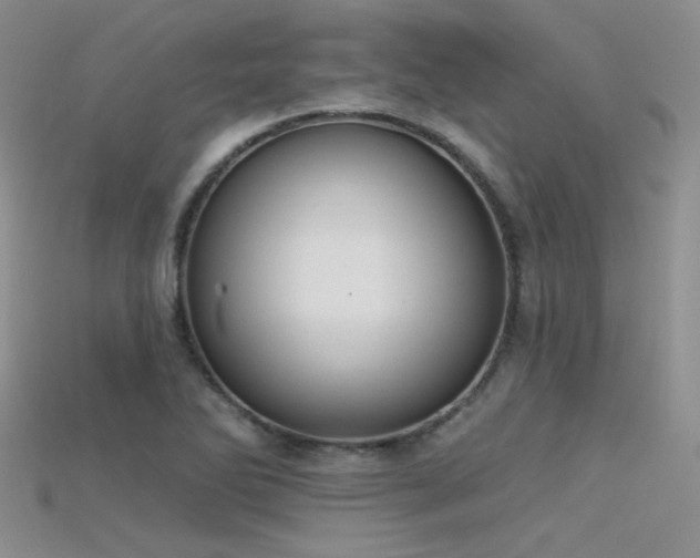X0000115671270200911121145