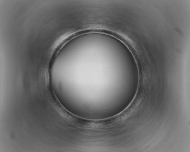 X0000115671271200911121145