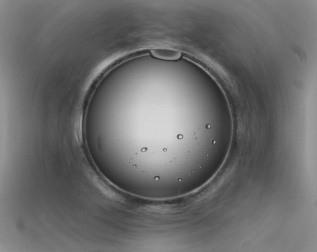 X0000115671272200911121145