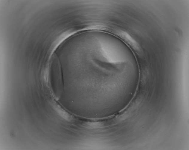X0000115671276200911121145