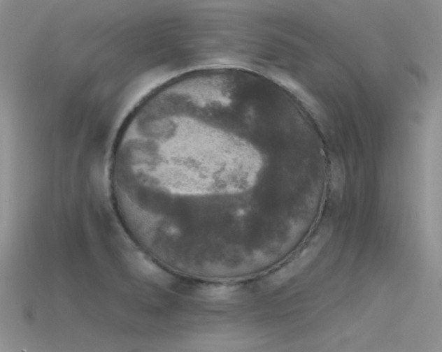 X0000115671278200911121145