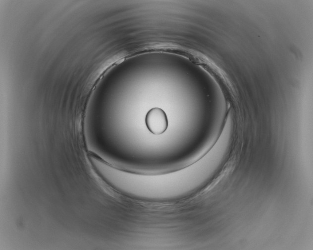 X0000115671281200911121145